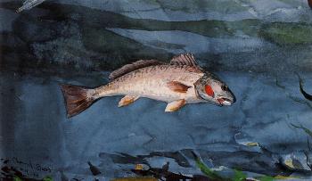 Winslow Homer : Channel Bass, Florida